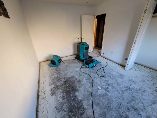 Water damage restoration mold remediation in Bokeelia, FL